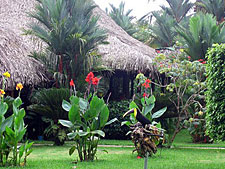Costa Rica-Pacific Coast-Kaleidoscope Ride - Volcanoes and Paramo